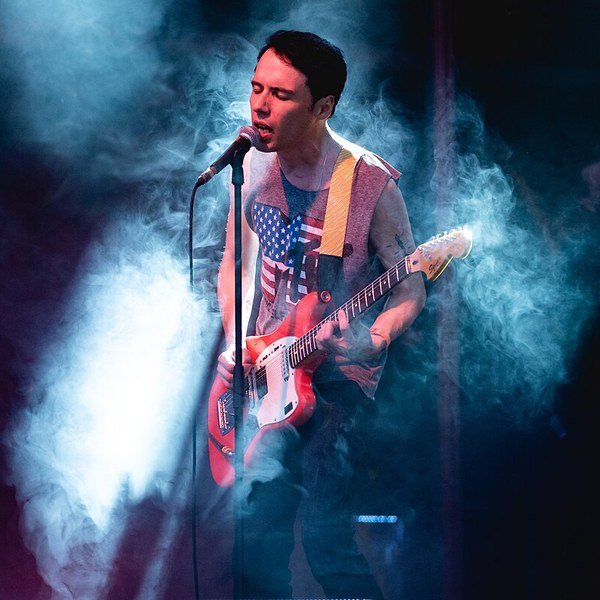 The Cribs Музыкант The Cribs на сцене