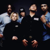 Bloodhound Gang