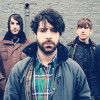 Foals
