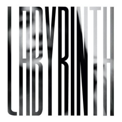 Виниловая пластинка Heather Woods Broderick - Labyrinth