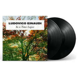 Виниловая пластинка Ludovico Einaudi - In A Time Lapse (2LP)