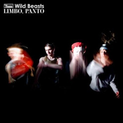 Виниловая пластинка Wild Beasts - Limbo, Panto