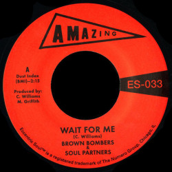 Виниловая пластинка Brown Bombers &amp; Soul Partners - Wait For Me / Just Fun