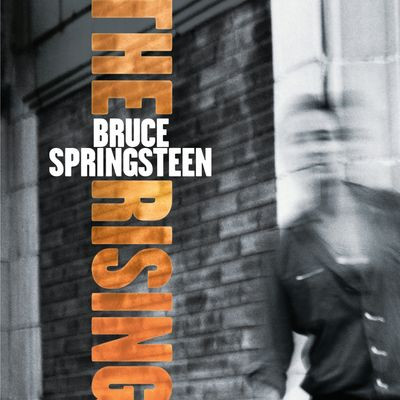 Виниловая пластинка Springsteen, Bruce - The Rising (2LP/DL)