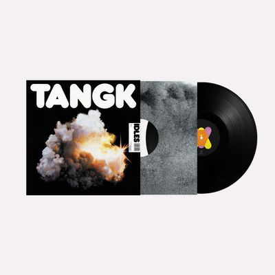 Виниловая пластинка Idles - Tangk