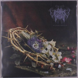 Виниловая пластинка Penitence Onirique - Nature Morte (Blue / White Splatter Vinyl)
