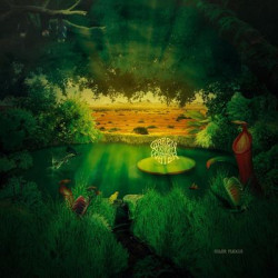 Виниловая пластинка Green Desert Water - Solar Plexus