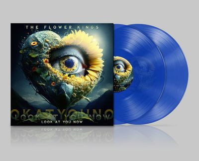 Виниловая пластинка Flower Kings The - Look At Your Now
