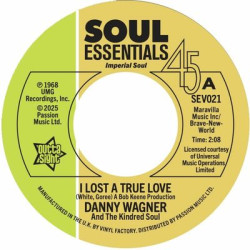 Виниловая пластинка Danny Wagner &amp; The Kindred Soul - I Lost A True Love / This Thing Called Love