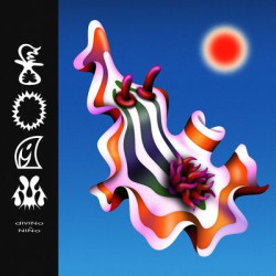 Виниловая пластинка Divino Nino - Foam (Coloured Vinyl)