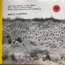 Виниловая пластинка Mari Kvien Brunvoll &amp; Stein Urheim With Moskus - Barefoot In Bryophyte