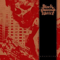 Виниловая пластинка Black Swamp Water - Awakening