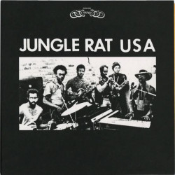 Виниловая пластинка The Jungle Rat USA - Just Love One Another