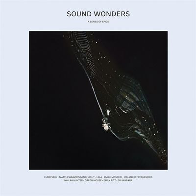 Виниловая пластинка Various Artists - Sound Wonders