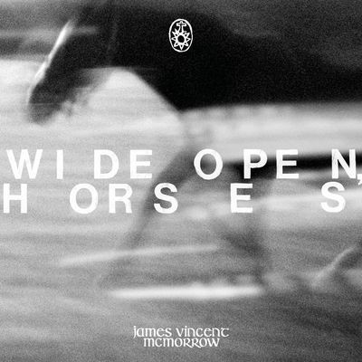 Виниловая пластинка James Vincent McMorrow - Wide open, horses