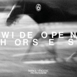 Виниловая пластинка James Vincent McMorrow - Wide open, horses