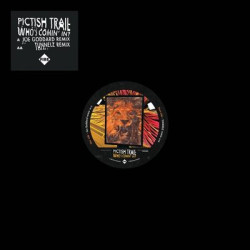 Виниловая пластинка Pictish Trail - Whoès Cominè In?