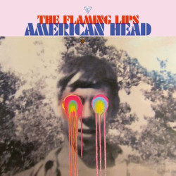 Виниловая пластинка The Flaming Lips - American Head