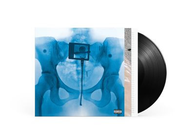Виниловая пластинка Lorde - VIRGIN (1LP)
