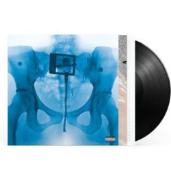 Виниловая пластинка Lorde - VIRGIN (1LP)