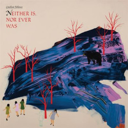 Виниловая пластинка Constant Follower - Neither Is, Nor Ever Was