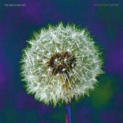 Виниловая пластинка The Bevis Frond - Focus On Nature