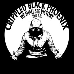 Виниловая пластинка Crippled Black Phoenix - We Shall See Victory ( Live In