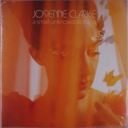 Виниловая пластинка Josienne Clarke - A Small Unknowable Thing