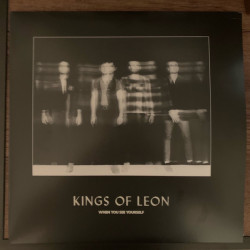Виниловая пластинка Kings Of Leon - When You See Yourself (2LP/GF)