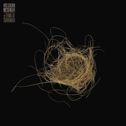 Виниловая пластинка Hiss Golden Messenger - Terms Of Surrender