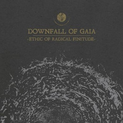 Виниловая пластинка Downfall Of Gaia - Ethic Of Radical Finitude