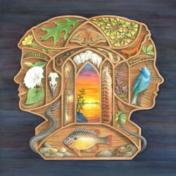 Виниловая пластинка The Other Years - The Other Years