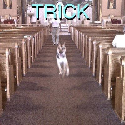 Виниловая пластинка Alex G - Trick (1LP/7in)