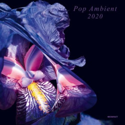 Виниловая пластинка Various Artists - Pop Ambient 2020
