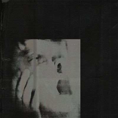 Виниловая пластинка Ditz - Never Exhale (Colour Repress) (LP)