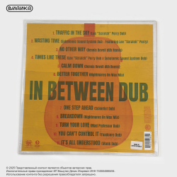Виниловая пластинка Jack Johnson - In Between Dub (LP) White Transparent