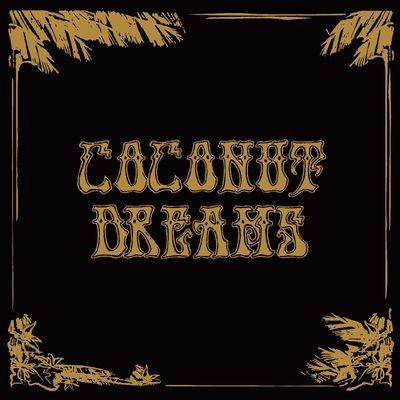 Various Artists - Skyrager Presents Coconut Dreams Volume One (LP)