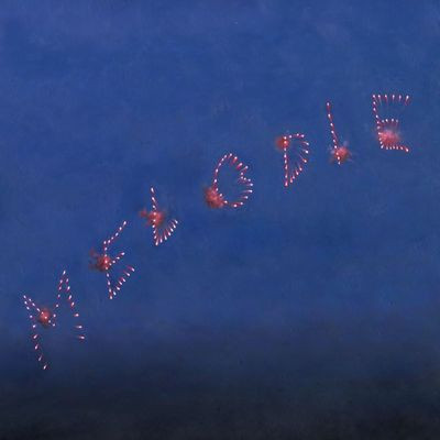 Slow Pulp - Melodie (LP)