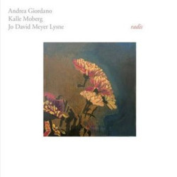 Виниловая пластинка Andrea Giordano - Kalle Moberg-Radis