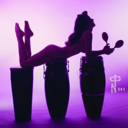Виниловая пластинка Various Artists - Technicolour Paradise: Rhum Rhapsodies &amp; Other Exotic Delights