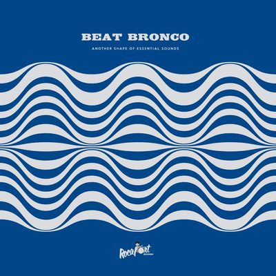 Виниловая пластинка Beat Bronco Organ Trio - Another Shape Of Essential Sounds