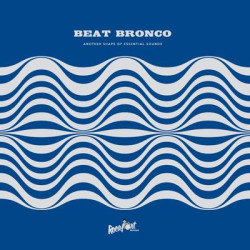Виниловая пластинка Beat Bronco Organ Trio - Another Shape Of Essential Sounds