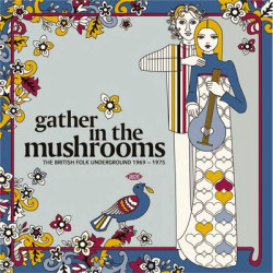 Виниловая пластинка Various Artists - Gather In The Mushrooms- The British Folk Underground 1969-1975 (2Lp)