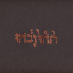 Виниловая пластинка Godspeed You Black Emperor - Slow Riot For New Zero Kanada