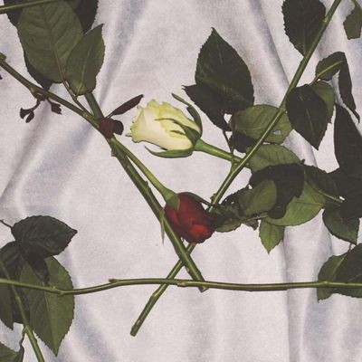 Виниловая пластинка Chain Of Flowers - Cadwyn O Flodau (Clear Vinyl Edition)