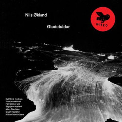 Виниловая пластинка Nils Okland - Glodetradar