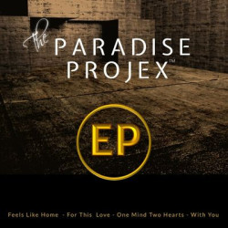 Виниловая пластинка The Paradise Projex - The Paradise Projex