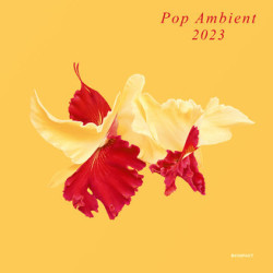 Виниловая пластинка Various Artists - Pop Ambient 2023