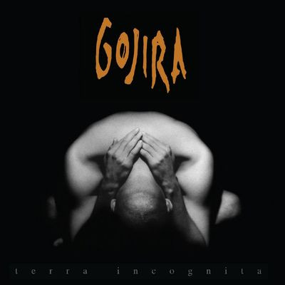 Виниловая пластинка Gojira - Terra Incognita