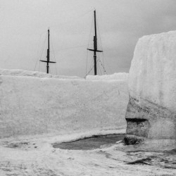 Виниловая пластинка Nyos - Nature